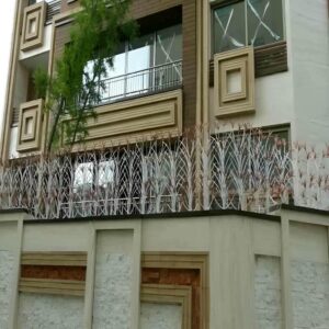 حفاظ شاخ گوزنی در اشتهارد
