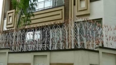 حفاظ شاخ گوزنی در اشتهارد