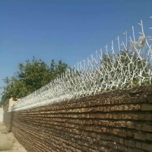 حفاظ شاخ گوزنی در پرند