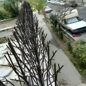 حفاظ شاخ گوزنی در استان گلستان