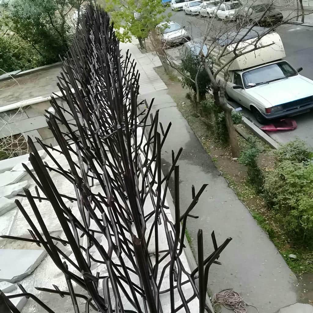 حفاظ شاخ گوزنی در استان گلستان