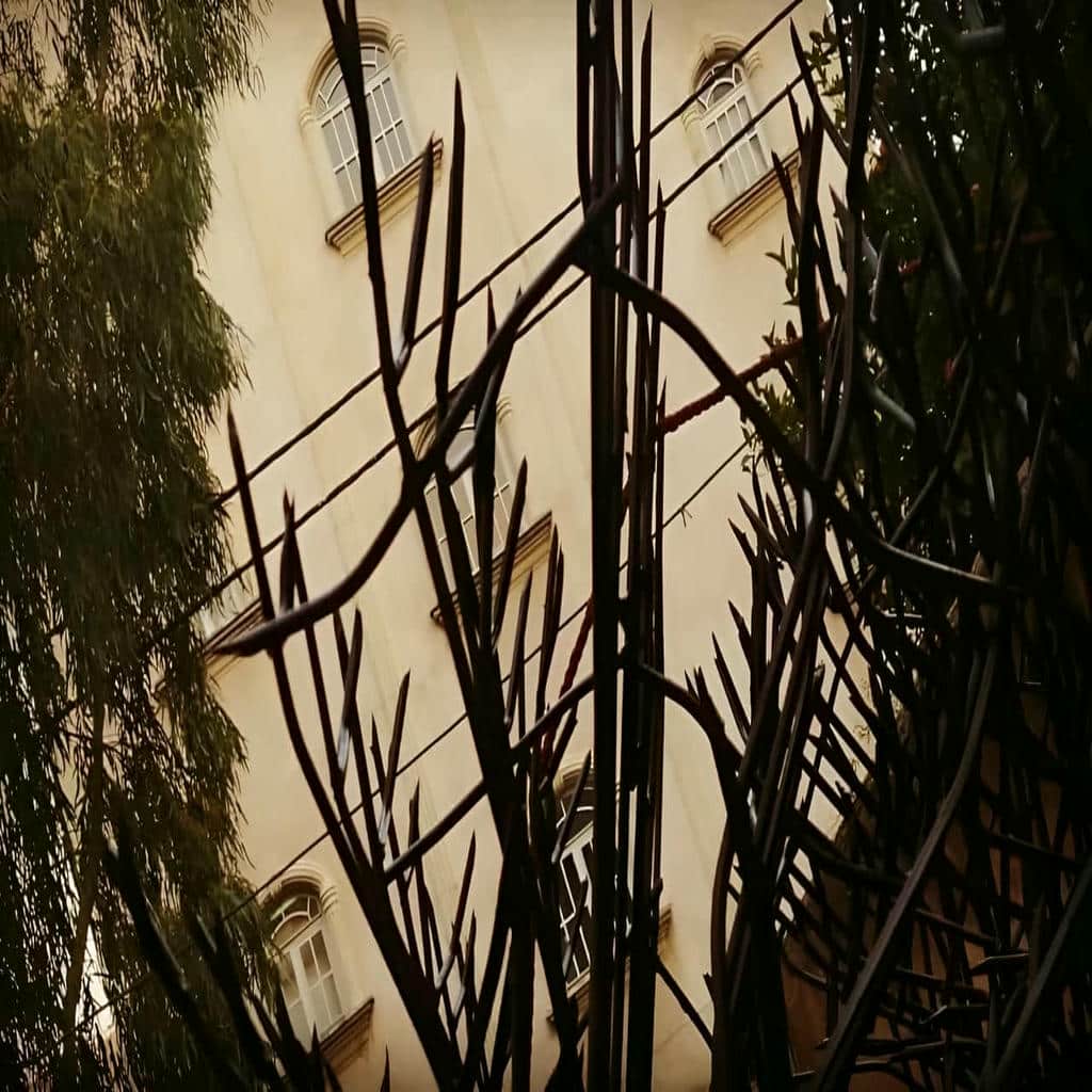 فروش حفاظ شاخ گوزنی دیوار حیاط در ایرانشهر