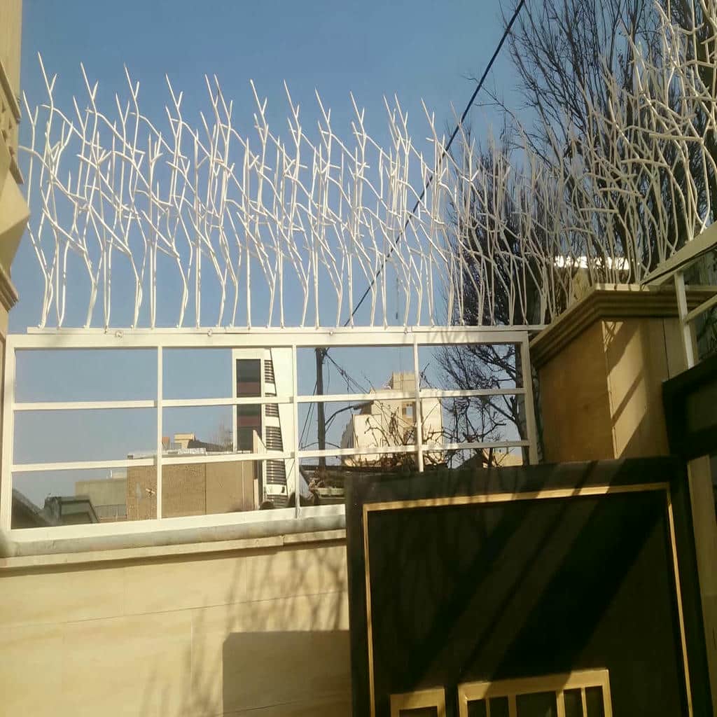 حفاظ شاخ گوزنی در قشم