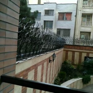 حفاظ شاخ گوزنی در آبسرد