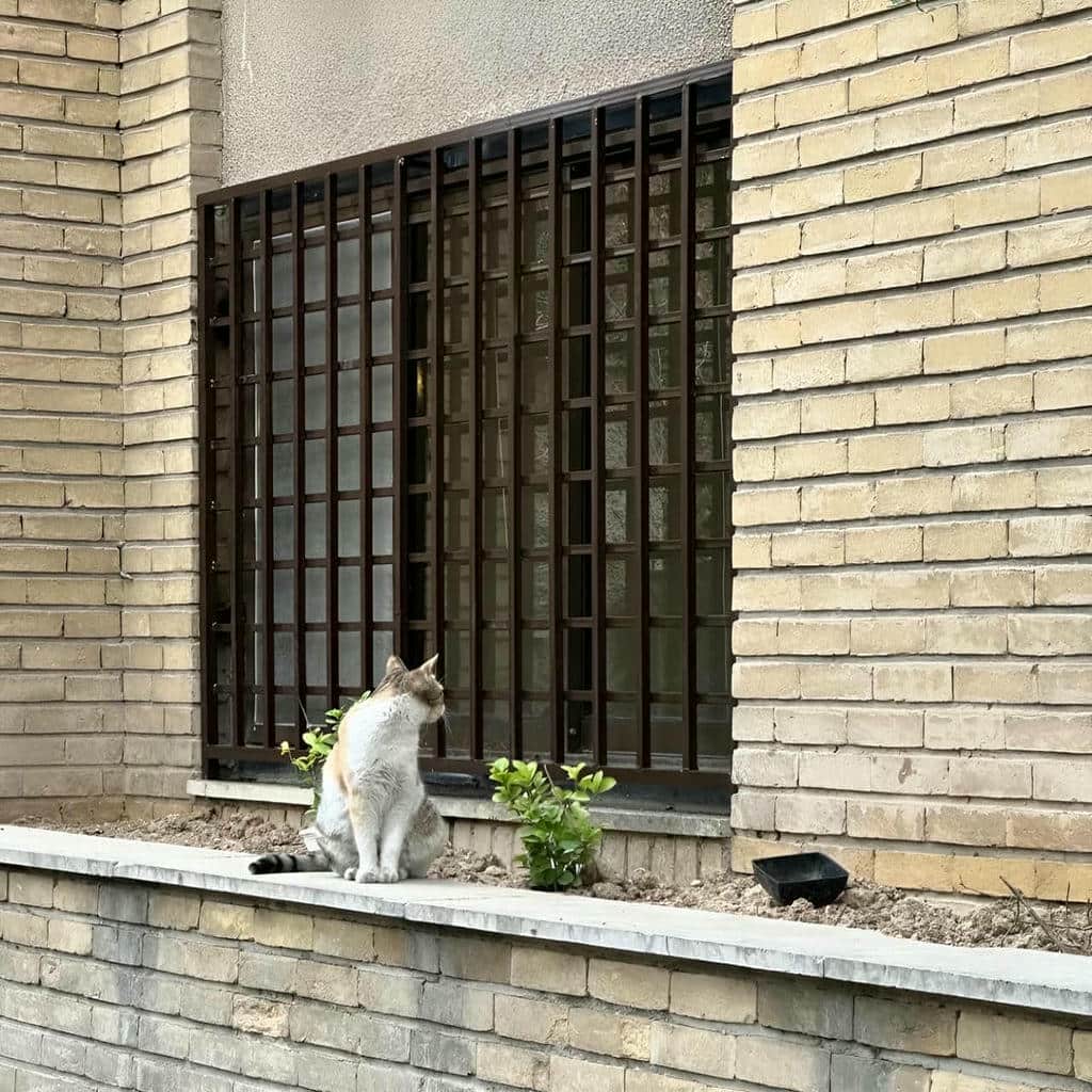 حفاظ پنجره در تهران
