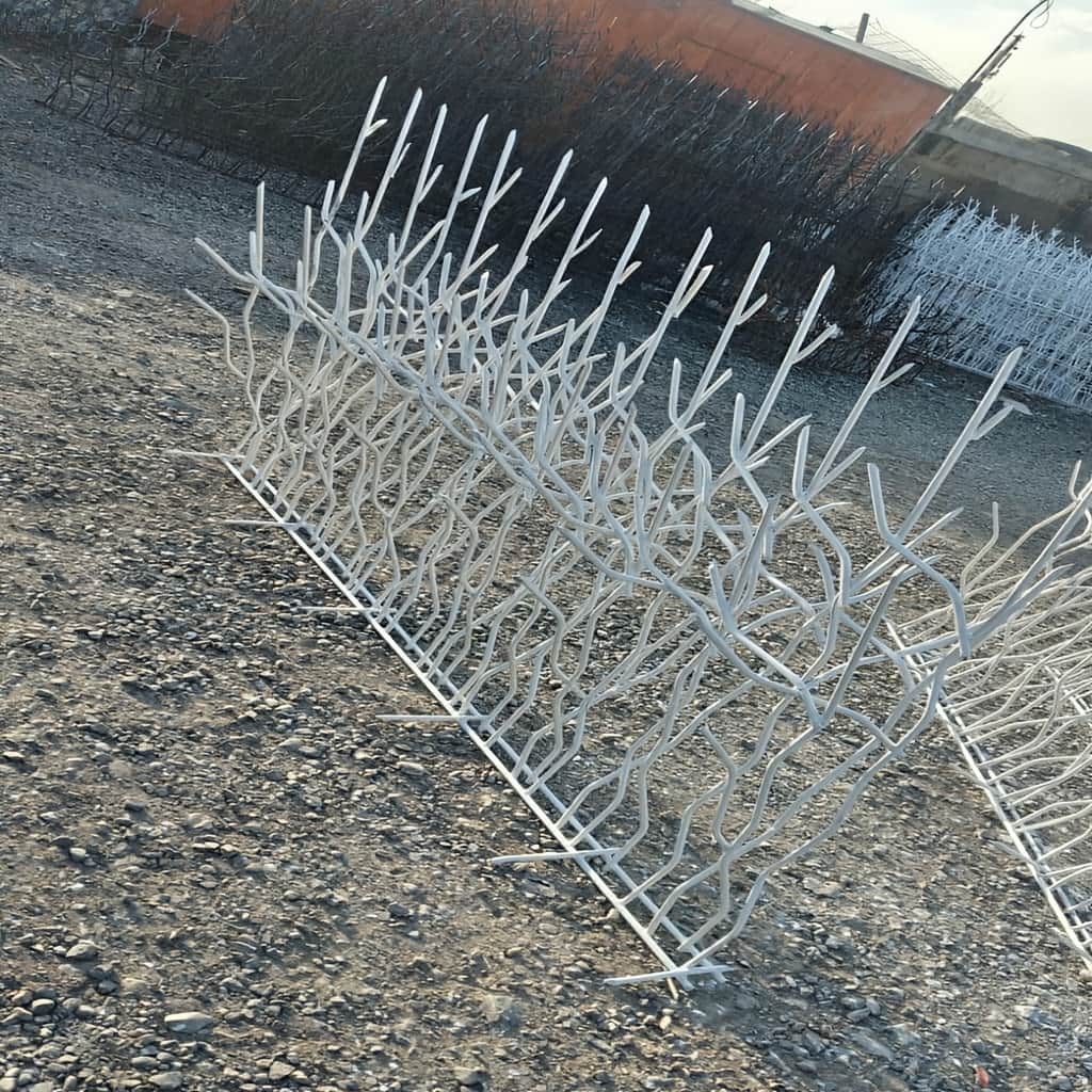 حفاظ شاخ گوزنی با نصب محکم روی تاج دیوار