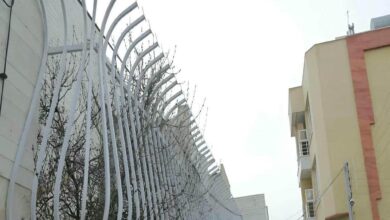 انتخاب حفاظ روی دیوار مناسب برای خانه، ویلا و باغ