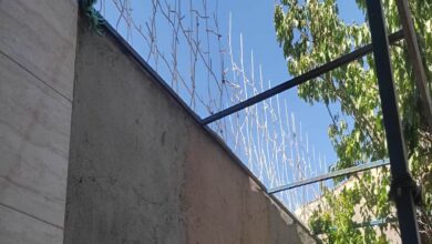 حفاظ شاخ گوزنی؛ حفاظ دیوار پرطرفدار برای ساختمان و ویلا