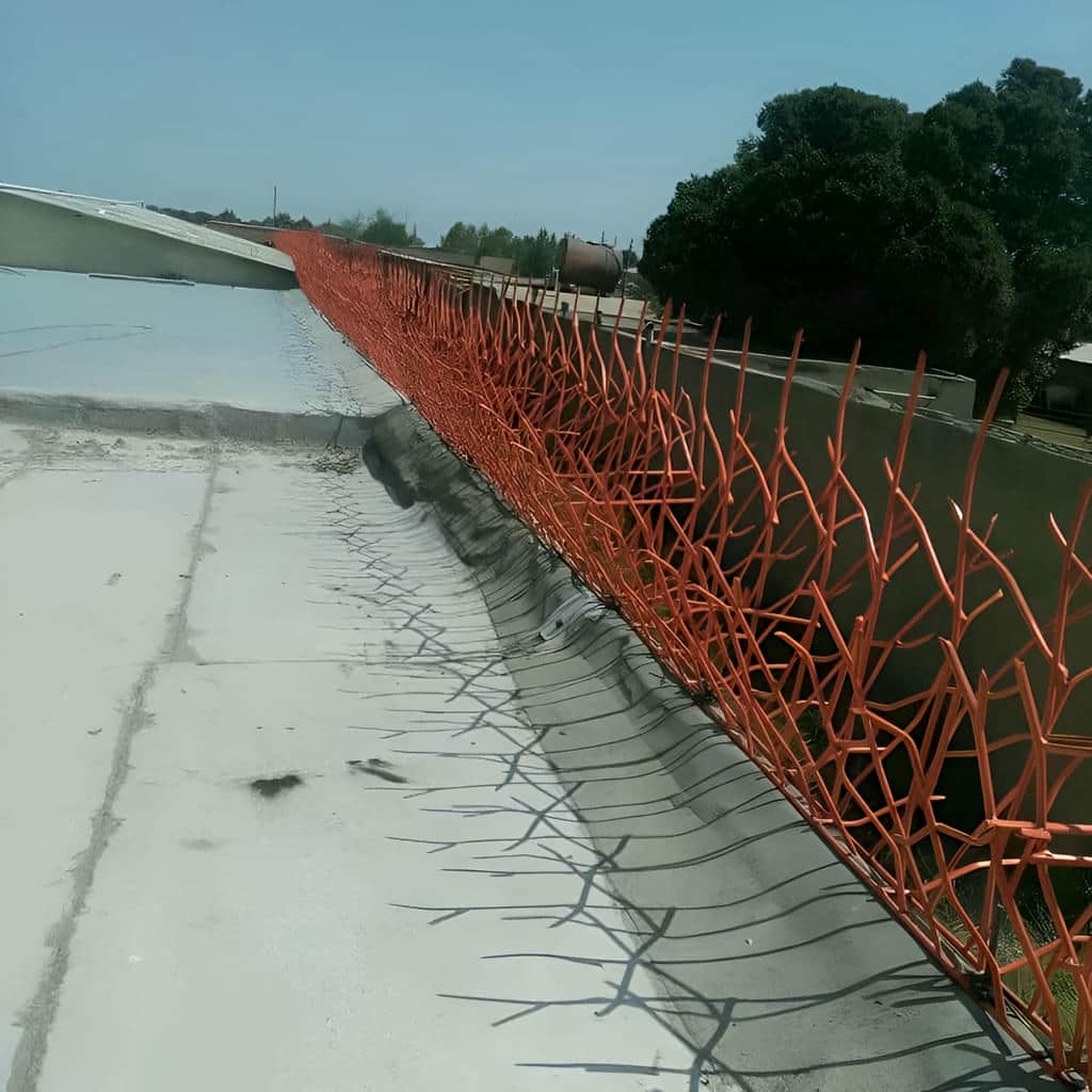 سفارش حفاظ بوته ای دیوار پرتراکم با تراکم متناسب