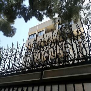 13 نمونه حفاظ بوته ای دیوار پرتراکم