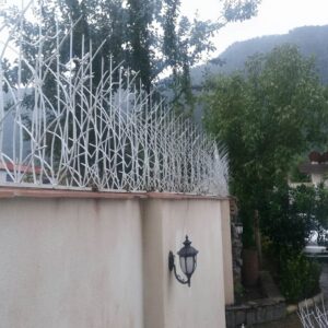 11 نمونه حفاظ نیزار دیوار باغ