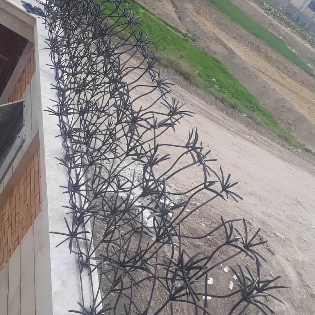 حفاظ دیوار مدل نخل مرداب