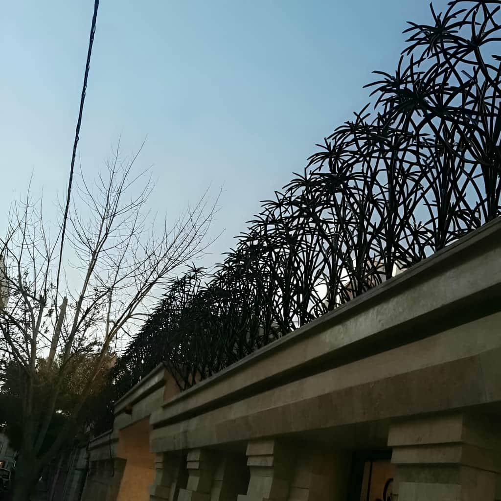 حفاظ نخل مرداب دیوار بیرونی