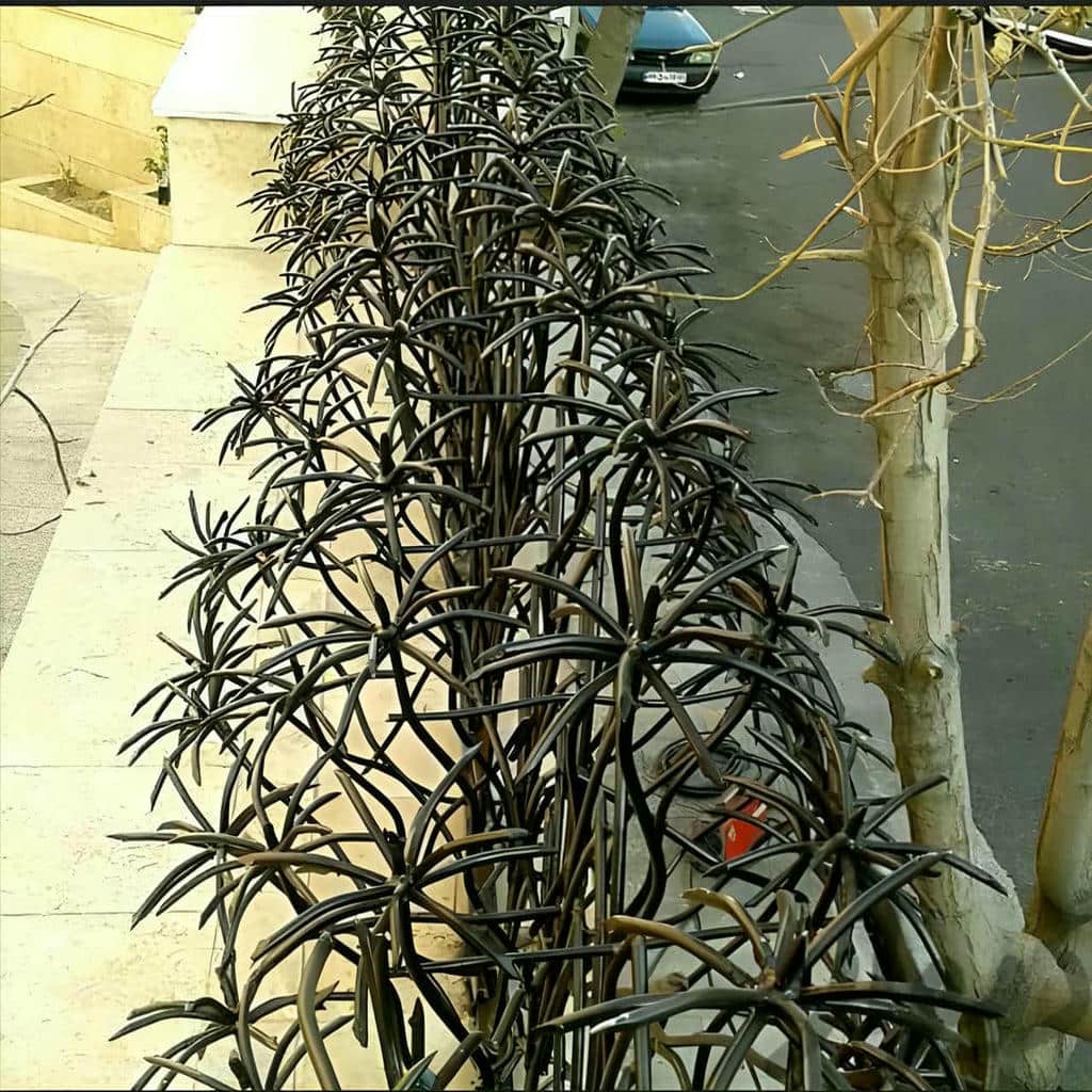 حفاظ نخل مرداب با پوشش رنگی