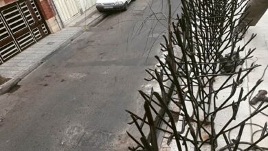 حفاظ بوته ای فلزی با رنگ مقاوم