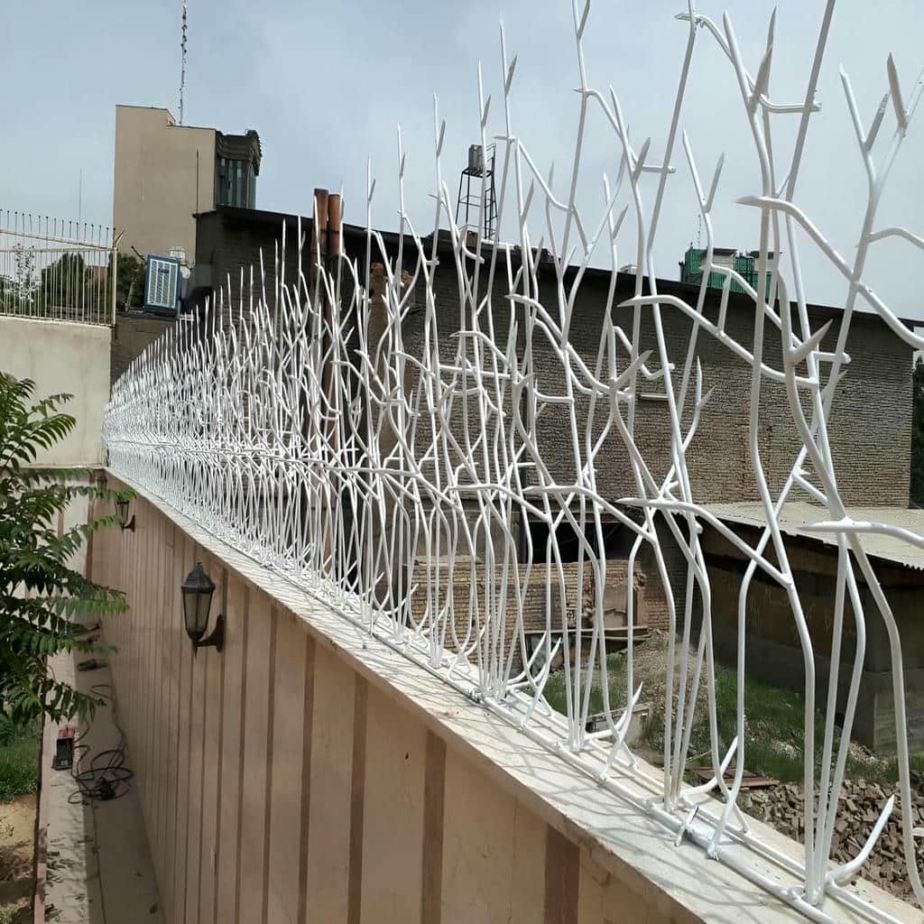 حفاظ دیوار سفید با شاخه های متراکم