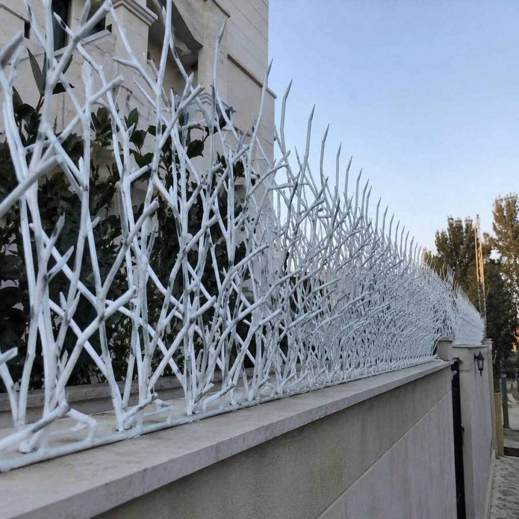 حفاظ دیوار شاخ گوزنی مشکی روی حصار زاهدان