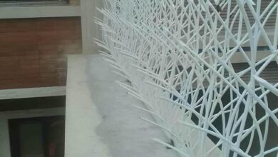 حفاظ دیوار شاخ گوزنی مشکی در استان خراسان جنوبی