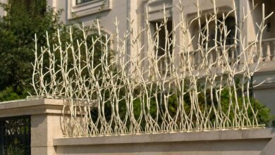 حفاظ دیوار شاخ گوزنی مشکی روی حصار زنجان