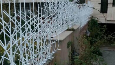 حفاظ دیوار شاخ گوزنی مشکی کنار ویلای بیرجند