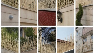 حفاظ دیوار شاخه دار مشکی کنار باغ زنجان