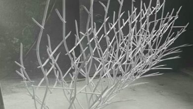 نمای حفاظ دیوار مشکی مات روی دیوار باغ ارومیه
